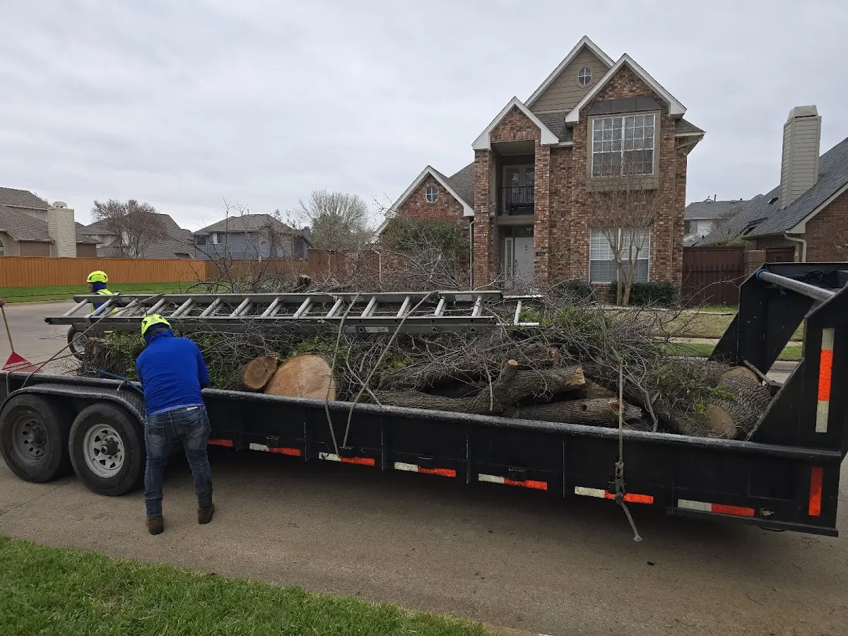 Expert Lot Clearing with proper safety equipment in Keokee